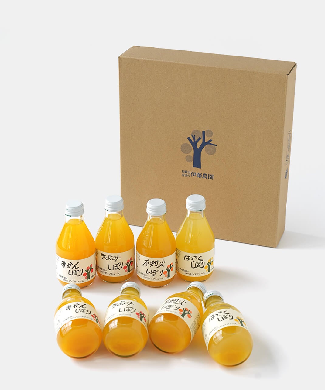 果樹 aiai 伊藤農園100%ピュアジュースギフト(180ml×8本)みかん・きよみ・不知火